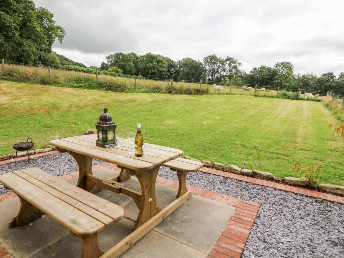 Red Kite Cottage Llandrindod Wells Zewnętrze zdjęcie